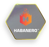Hananero